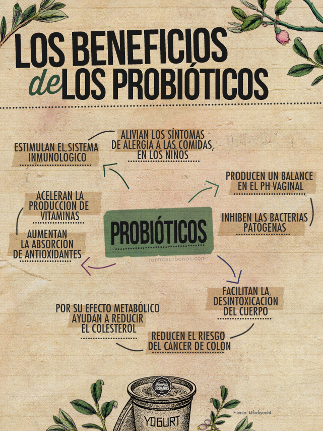 Probioticos